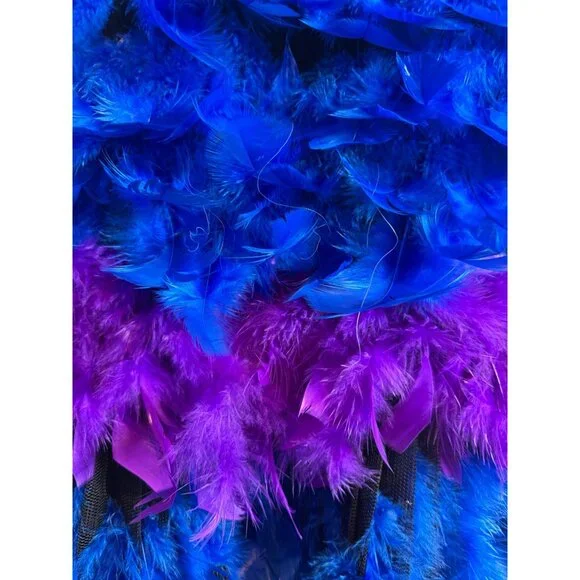 Feather Stappy Ballerina / Mardigras Dress Halloween Costume Blue & Purple - Picture 6 of 9